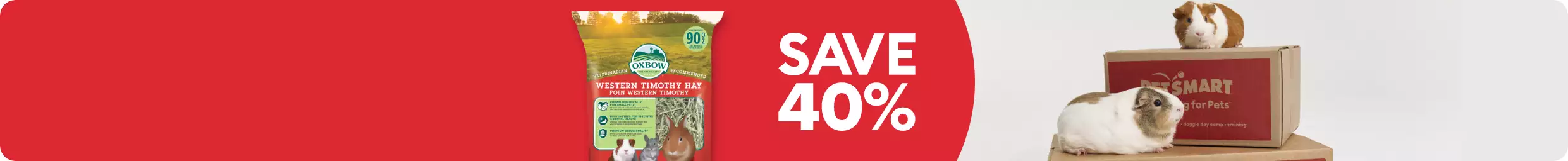 SAVE 40% text; guinea pig; bedding product