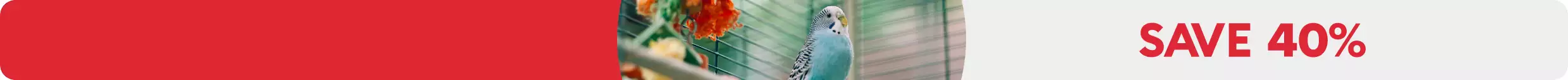 SAVE 40% text, parakeet