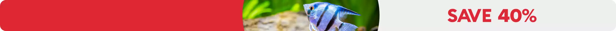 SAVE 40% text, fish