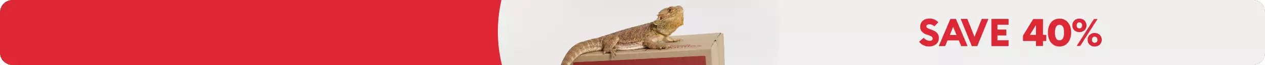 SAVE 40% text; bearded dragon