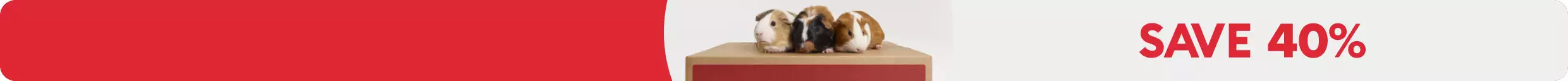 SAVE 40% text; guinea pig