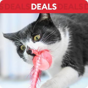 Petsmart deals today hotsell