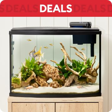 Fully decorated aquarium; text that says deals