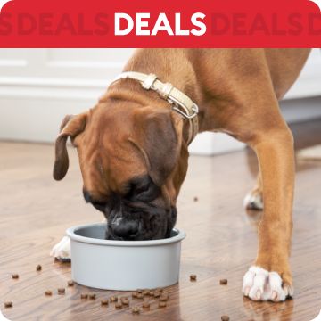 Dog eating kibble from bowl; text that says deals