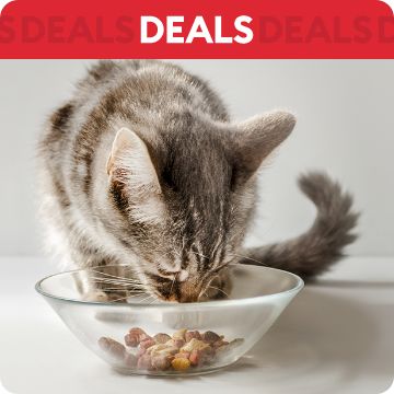 Pet food deals best sale