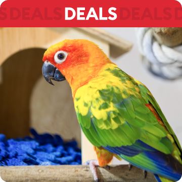 Parrot in habitat; text that says deals