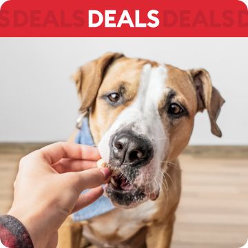 Petsmart deals today hotsell