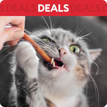 Cat gnawing on treat; text that says deals