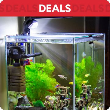Desktop aquarium with filter and pump; text that says deals
