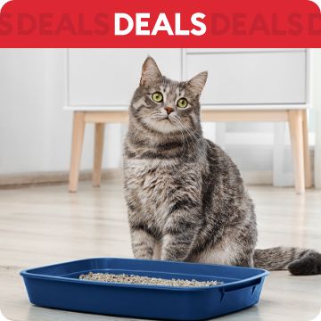 Cat Supplies Food Treats Toys Litter Furniture More PetSmart