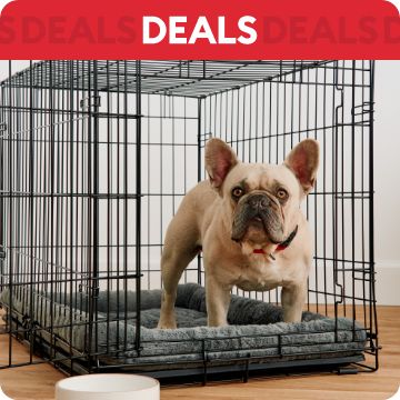 Dog standing halfway in crate; text that says deals