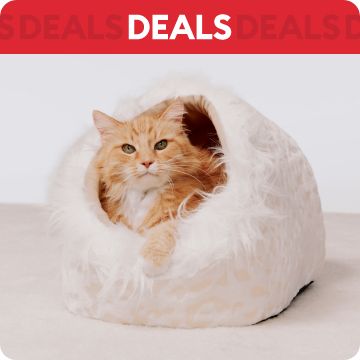 Cat using scratching post; text that says deals