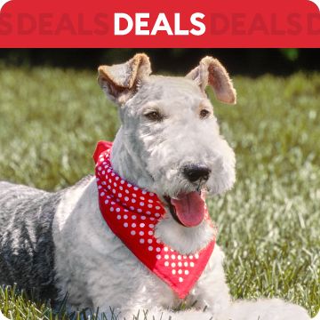 Dog wearing bandana; text that says deals