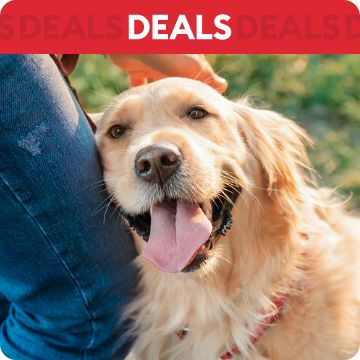 Dog leaning up against pet parent leg; text that says deals