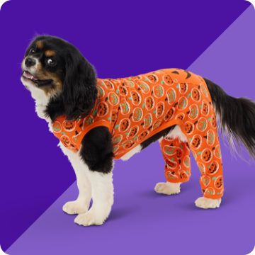 halloween pajamas