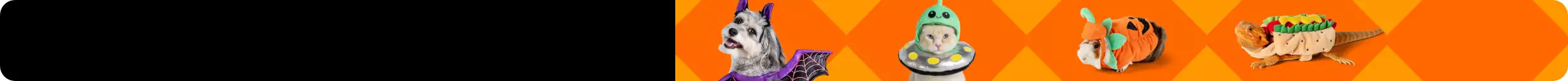 halloween banner