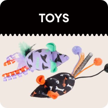 halloween cat toys