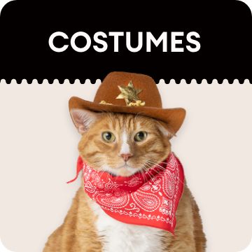 halloween cowbow costume