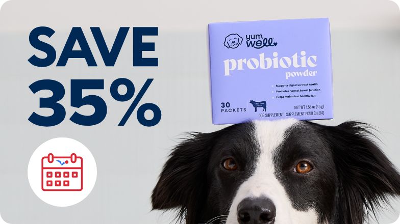 Probiotics for dogs petsmart best sale