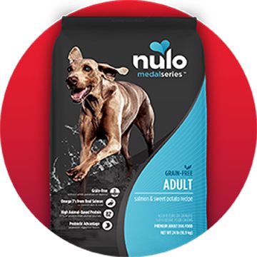 Nuvo dog food best sale