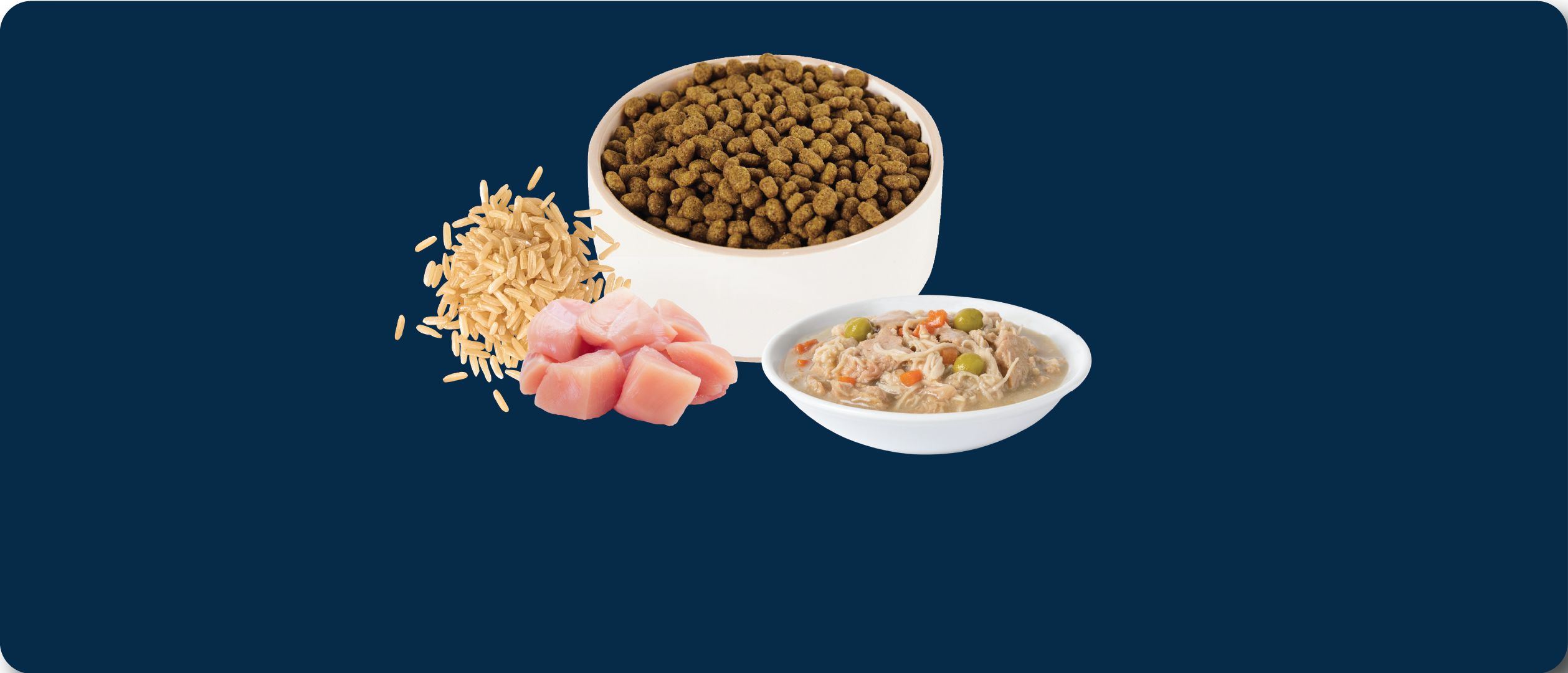 Bowls of Authority dry food, wet food, grains & protein