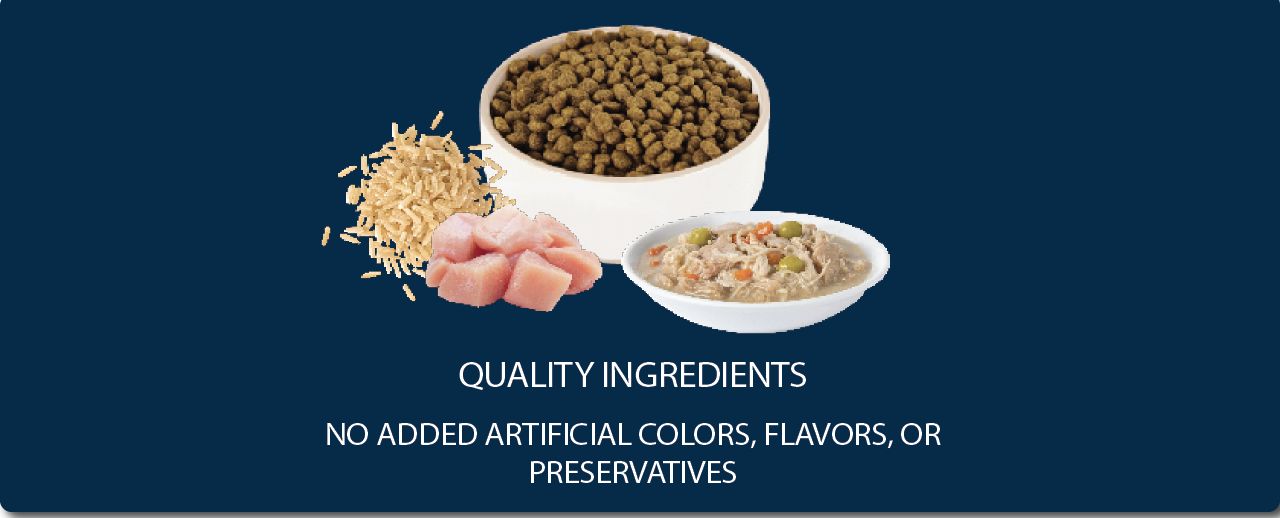 Bowls of Authority dry food, wet food, grains & protein