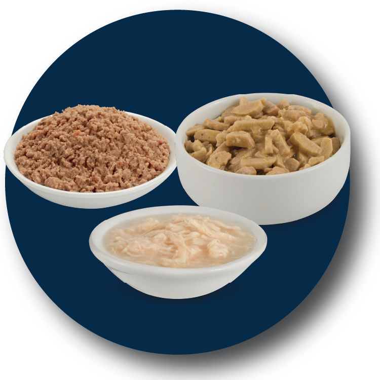 Bowls of Authority wet cat food & toppers