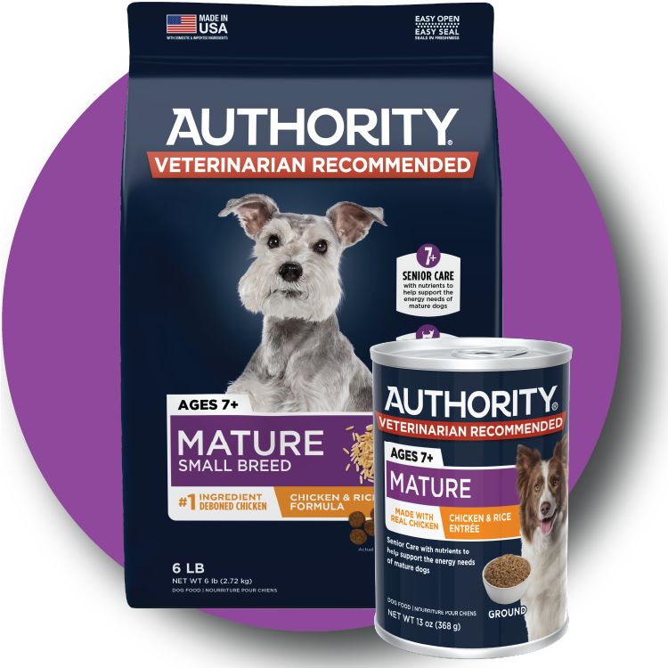 Authority senior food