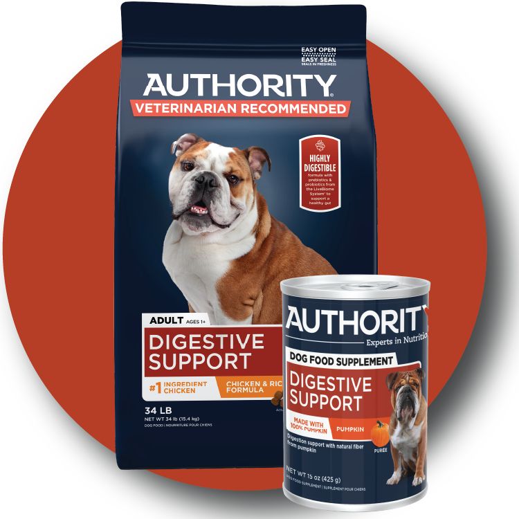 Authority dog food for digestion