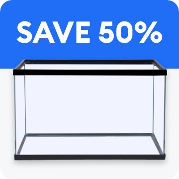Empty glass aquarium