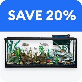 Fully decorated aquarium