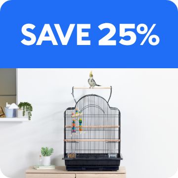 Bird cage in a home