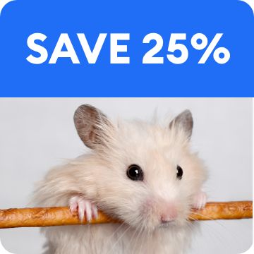 White hamster hanging on a stick