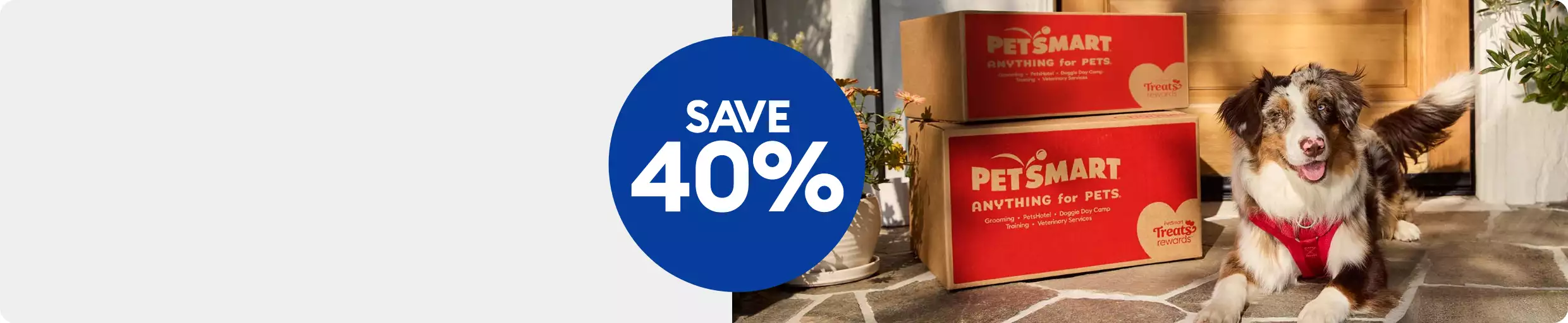 Save 40% callout and a dog laying next to two PetSmart shipping boxes
