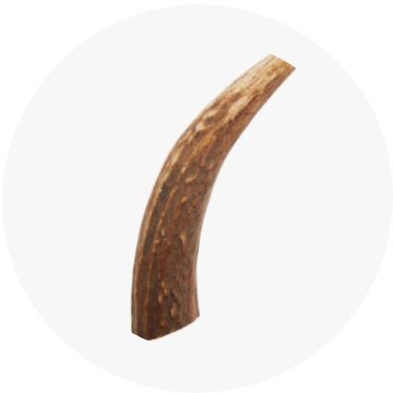 Antler