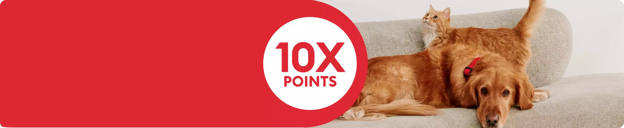 10X points callout and a dog & cat laying together on a couch