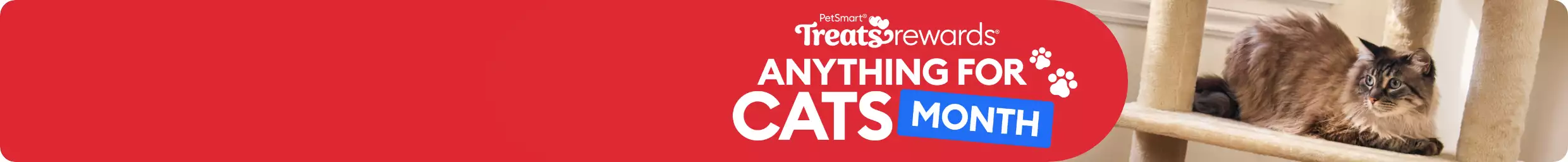 Anything for Cats Month logo & a cat laying on a tower