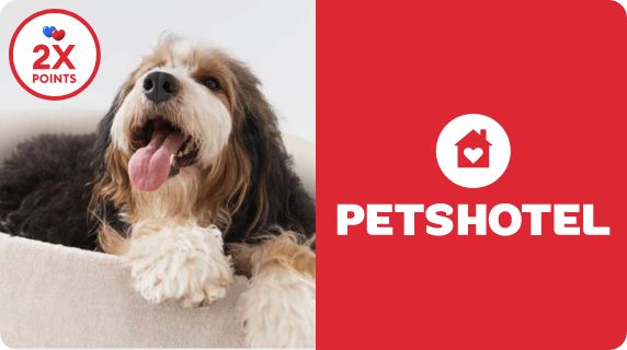 PetsHotel logo, 2X points callout, dog wearing a bandana & a plush popsicle toy