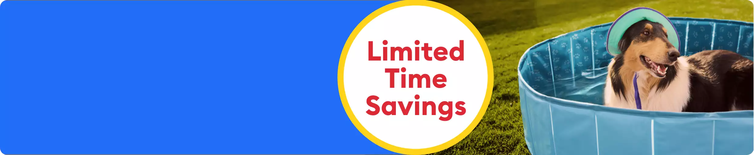 Limited Time Savings callout & a dog laying in a pool