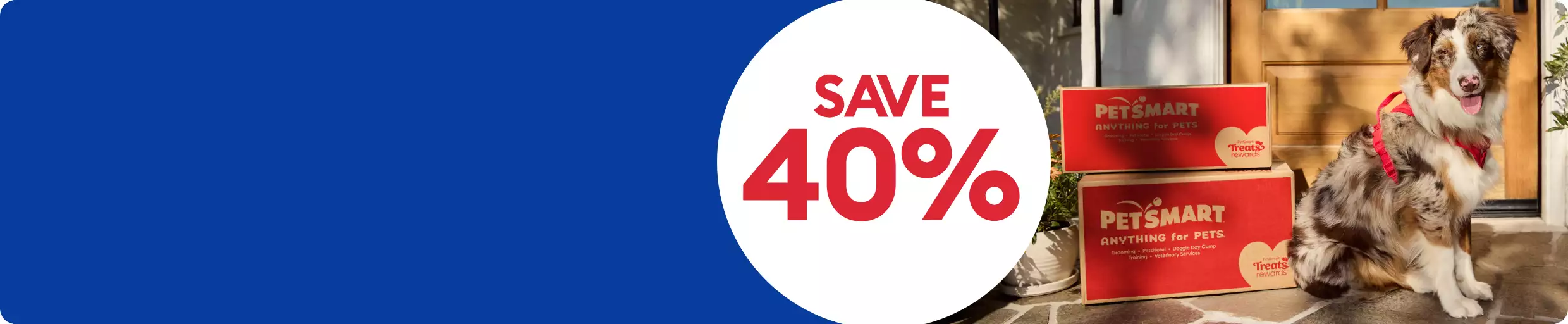 Save 40% callout and a dog standing by two PetSmart shipping boxes