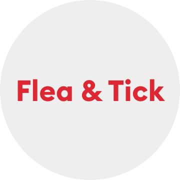 Flea & Tick