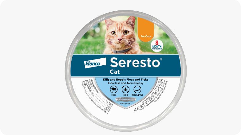 Does Petsmart Groomers Groom Cats With Fleas? Truth Revealed!