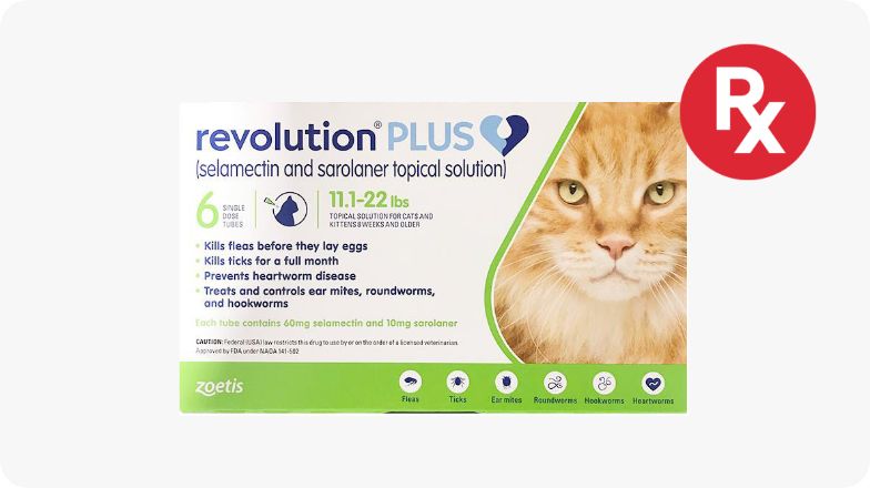 Do Indoor Cats Need Flea And Tick Prevention? Essential Facts