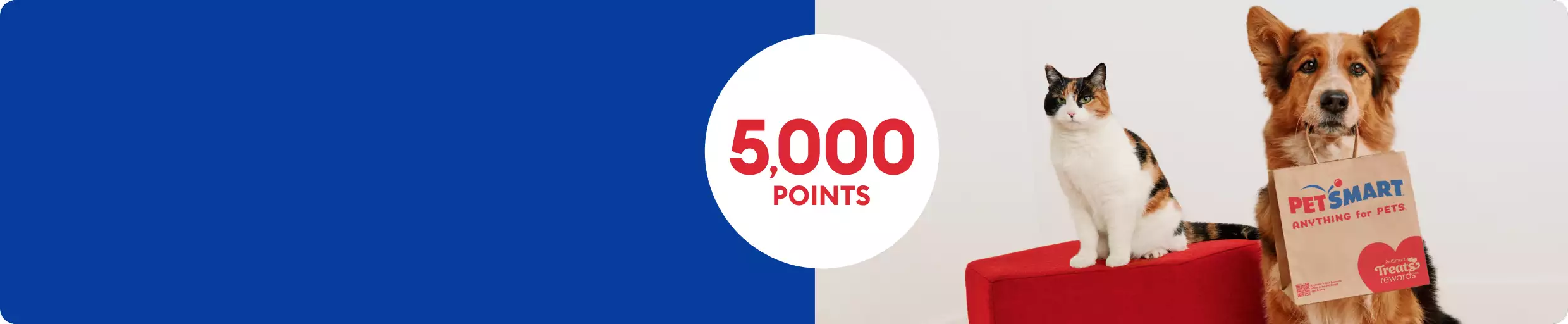 5,000 points callout and a dog sitting next to a cat with a PetSmart shopping back in their mouth