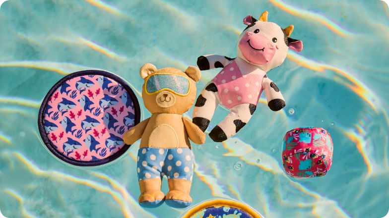 Waterproof dog toys floating on a pool