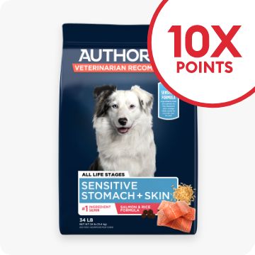 Bag of Authority & 10X Points