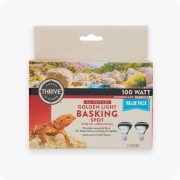 Pack of reptile lighting