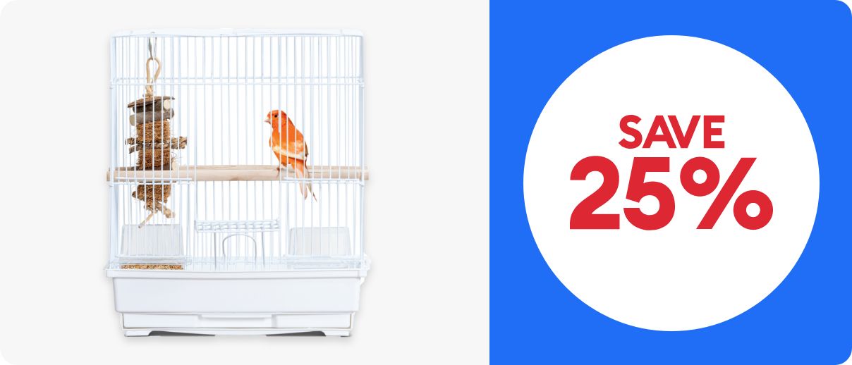 Two birds in a cage