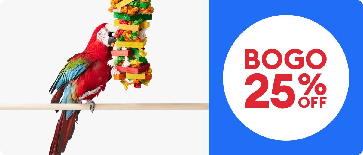 BOGO 25% OFF bird with toy