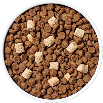 image of RawBoost® Kibble